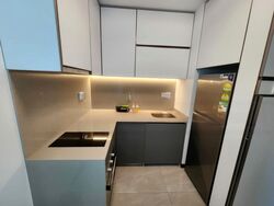 Normanton Park (D5), Apartment #464986141